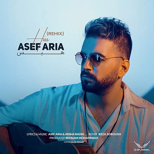 Cover artwork for Hiss (remix) by Asef Aria